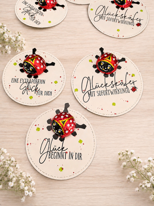 Glückskäfer mit Sofortwirkung Schokokäfer – Handgemacht | Süßes Geschenk & Mitbringsel