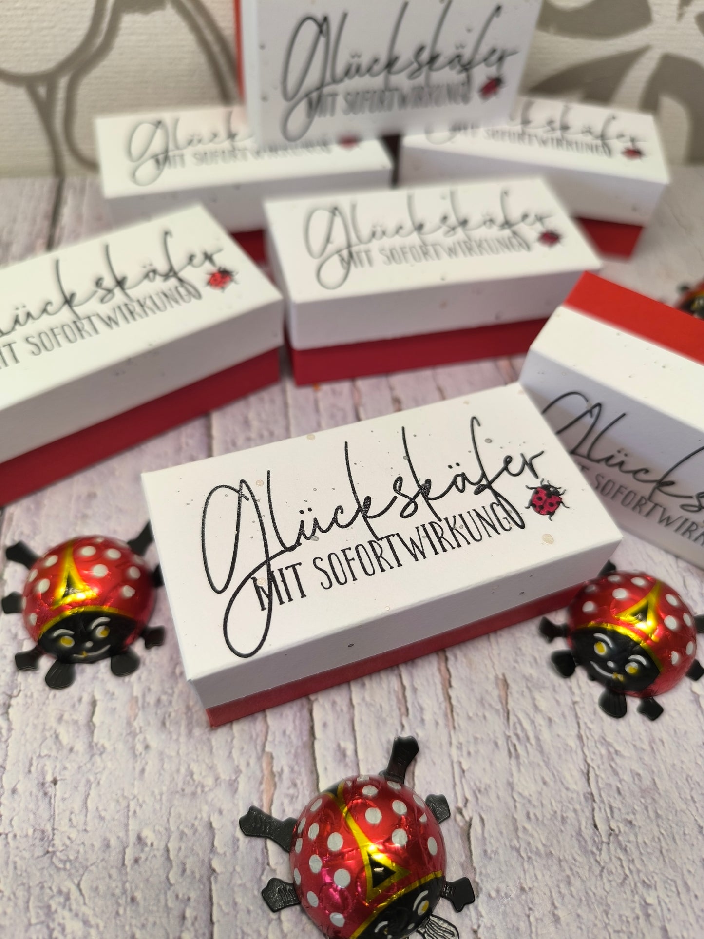 Glückskäfer-Schachtel mit Schokokäfer – Handgemacht