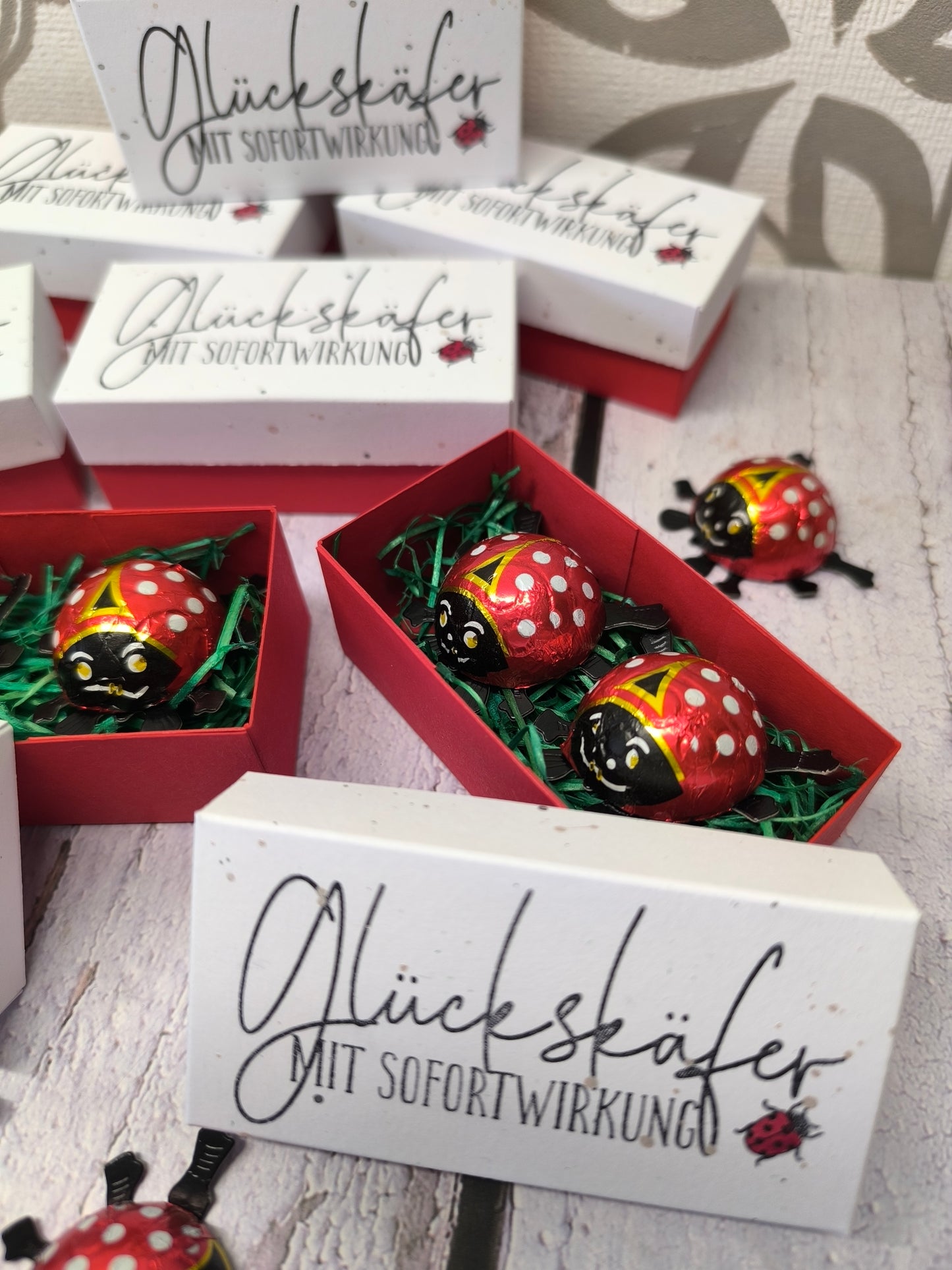Glückskäfer-Schachtel mit Schokokäfer – Handgemacht