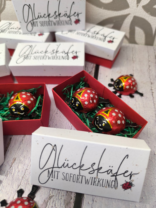 Glückskäfer-Schachtel mit Schokokäfer – Handgemacht