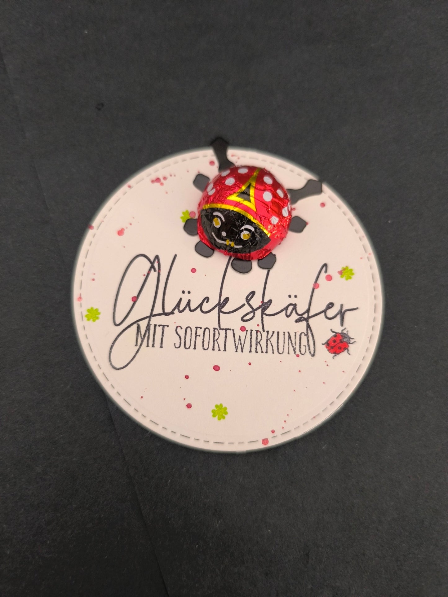 Glückskäfer mit Sofortwirkung Schokokäfer – Handgemacht | Süßes Geschenk & Mitbringsel